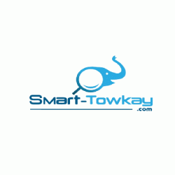 лого - SMART TOWKAY PTE. LTD.