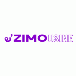 Logo - Zimousine