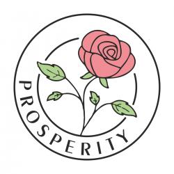 Logo - Prosperity Mirra
