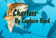 Logo - Daytona Beach Fishing Charter