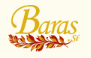 Logo - Baras ställe