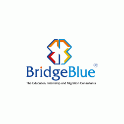 лого - BridgeBlue Global Lahore