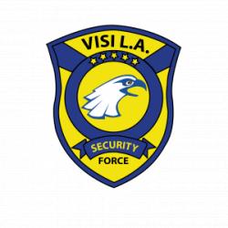 Logo - VISI L.A. Security Force