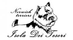 лого - Kennel Isola Dei Tesori