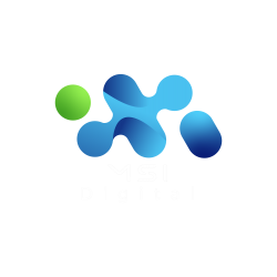 Logo - MS International