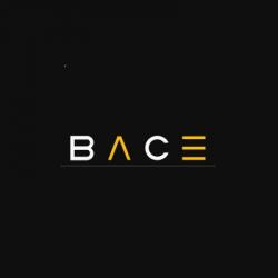 лого - BACE Project Management