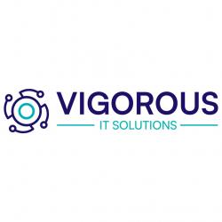 Logo - Vigorous It Solutions