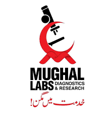Logo - Mughal Labs