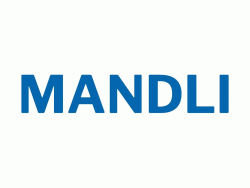 Logo - MANDLI Technologies