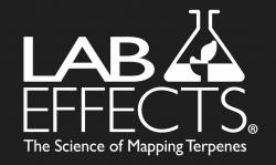 Logo - Lab Effects