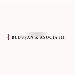 Logo - Budusan & Associates