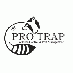 лого - Pro Trap Wildlife Control & Pest Management