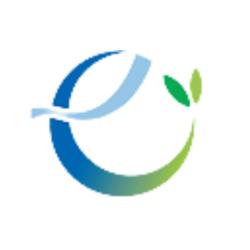 Logo - Eco Smart International