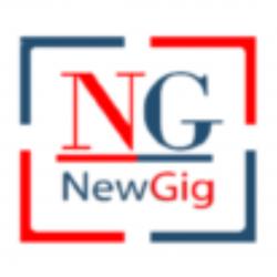 Logo - NewGig Secure Solutions