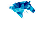 Logo - The Creative Horse