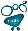 Logo - AntShop