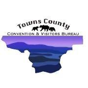 лого - Towns County