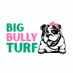 Logo - Big Bully Turf