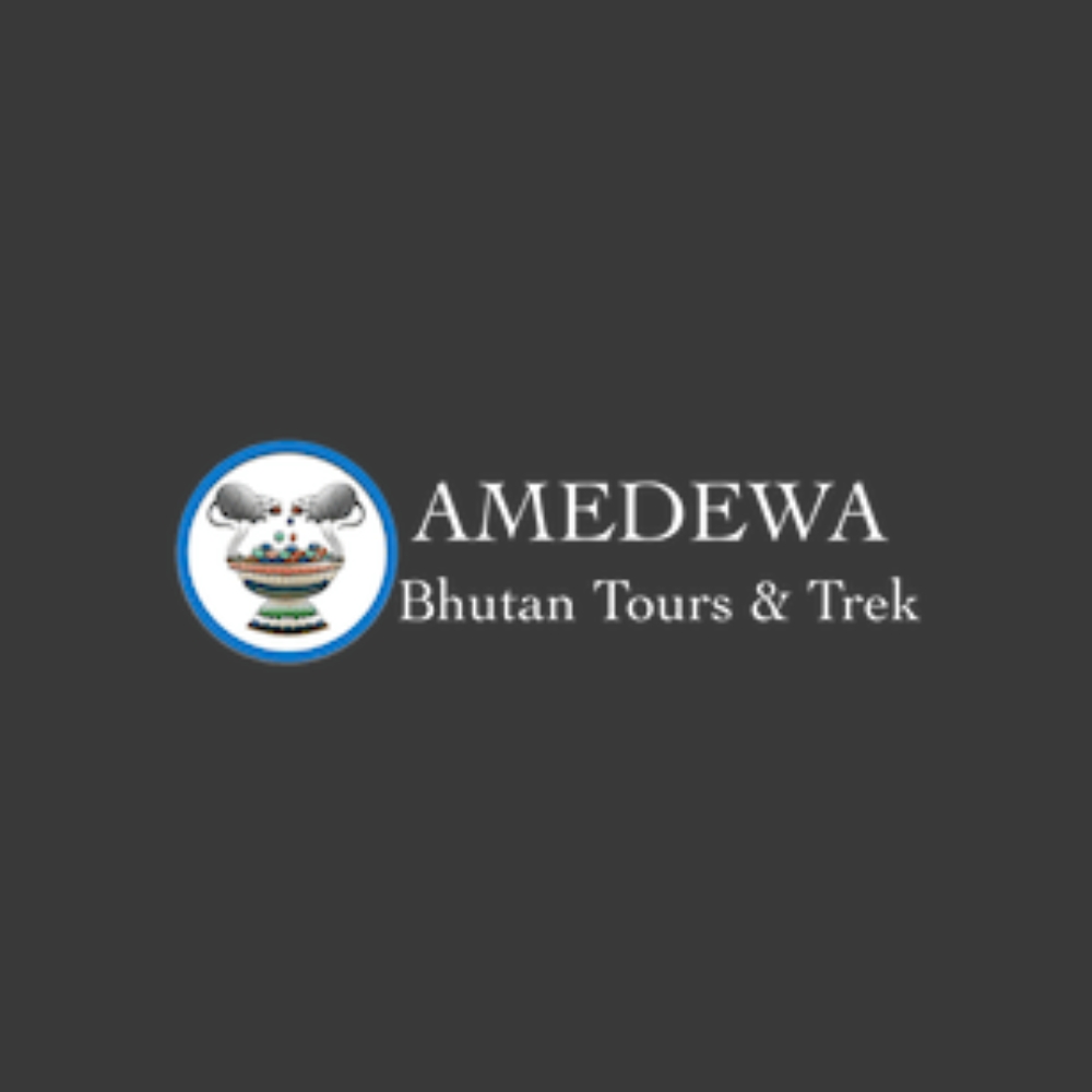 Logo - Amedewa Tours & Trek