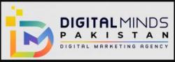 Logo - Digital Minds Pakistan