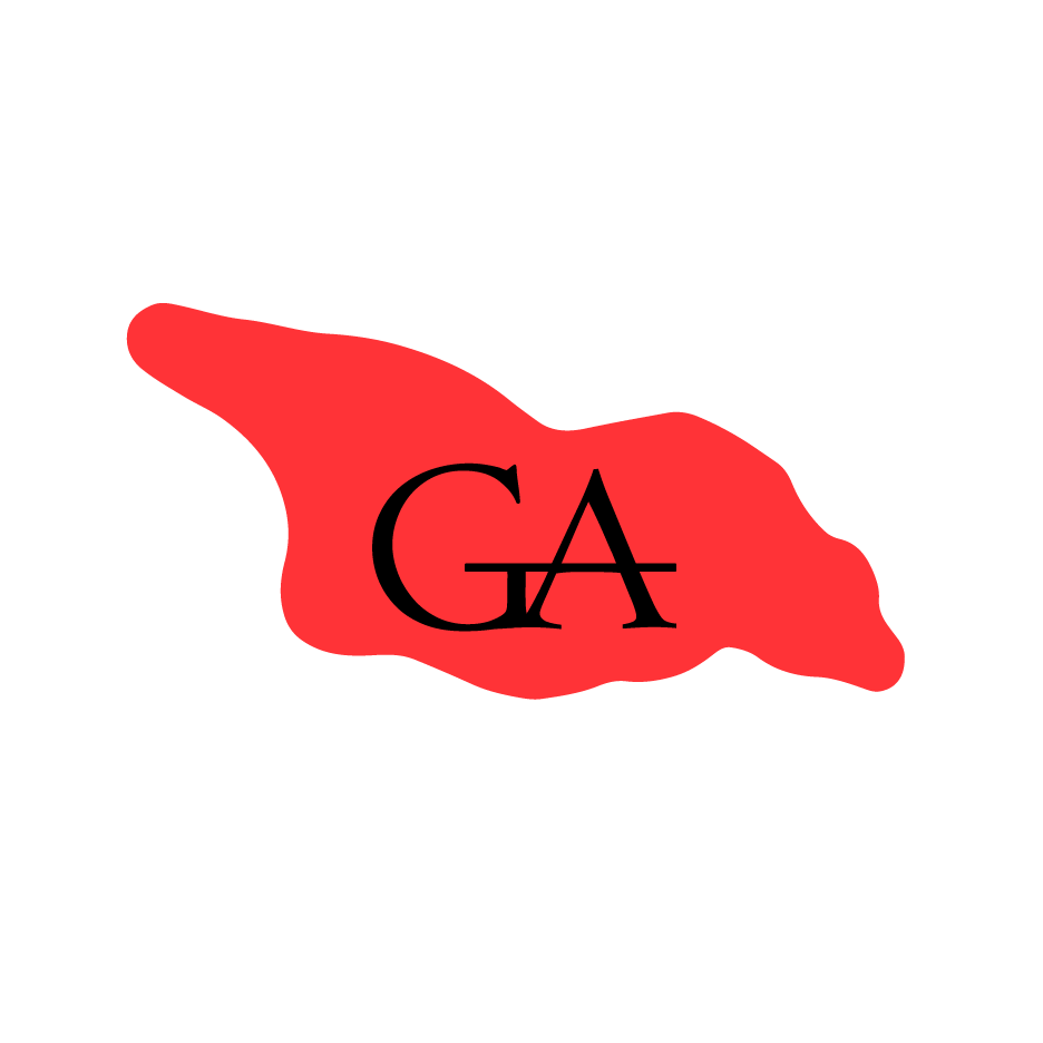 лого - Georgia Assistant