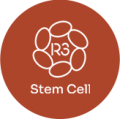 Logo - R3 Stem Cell Mexico