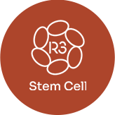 лого - R3 Stem Cell Cancun