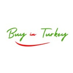 Logo - Buy In Turkey