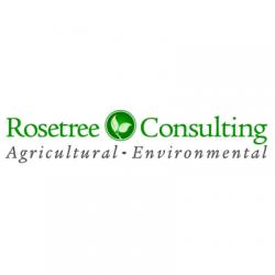 лого - Rosetree Consulting LLC