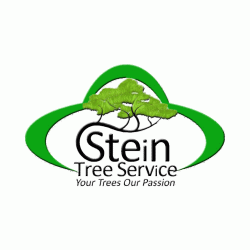 Logo - Stein Tree Service