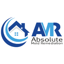 Logo - Absolute Mold Remediation Ltd.