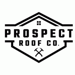 Logo - Prospect Roof Company LLC