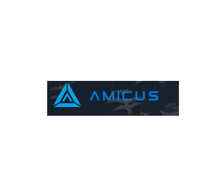 Logo - Amicus International Consulting