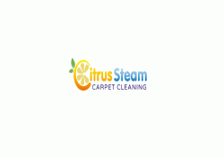 Logo - CitrusSteam