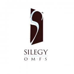 Logo - Silegy OMFS