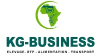 Logo - KG BUSINESS TOGO