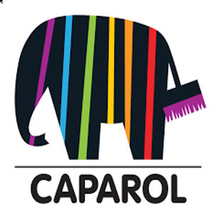 Logo - Caparol Kuwait