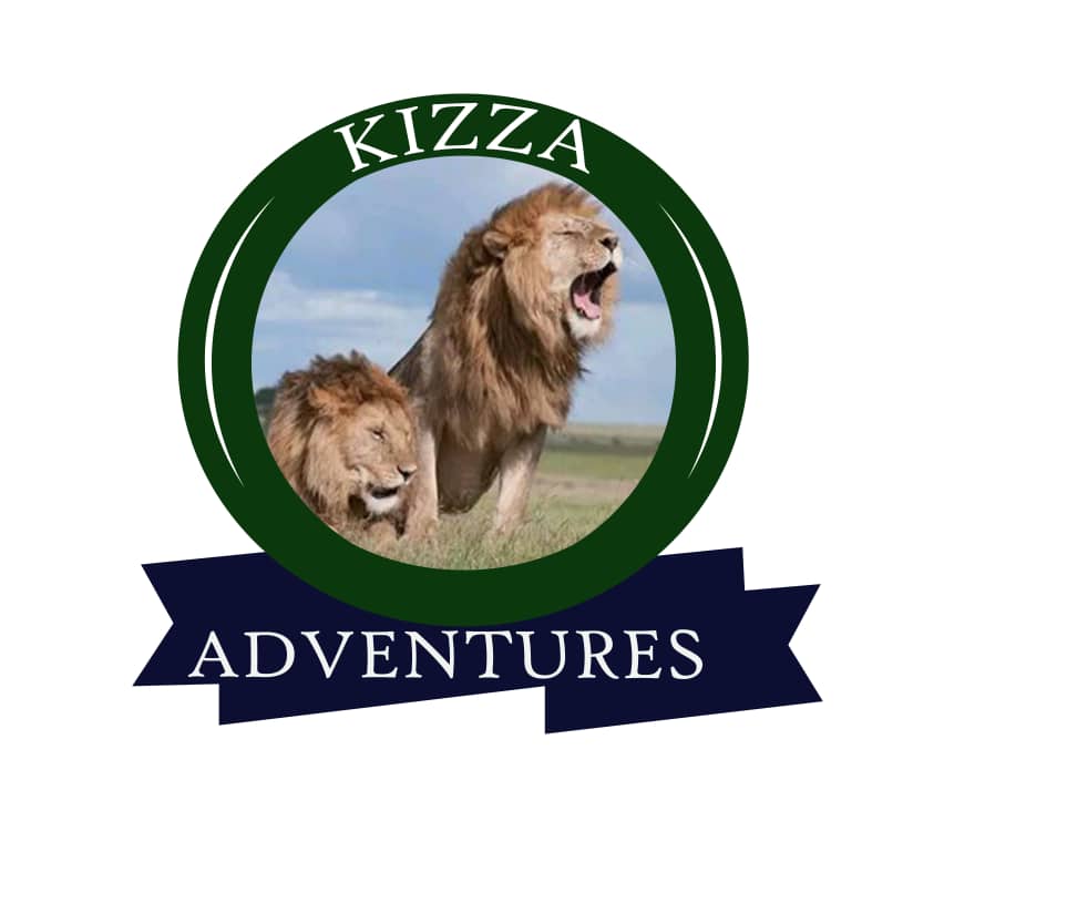 Logo - Kizza Adventures