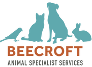 Logo - Beecroft Surgical