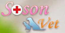лого - SOSON VET