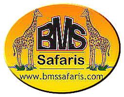 Logo - BMS Safaris Ltd