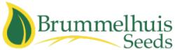 Logo - Brummelhuis Seeds