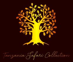 Logo - Tanzania Safari Collection