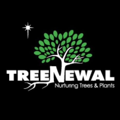 Logo - TreeNewal, Certified Arborist