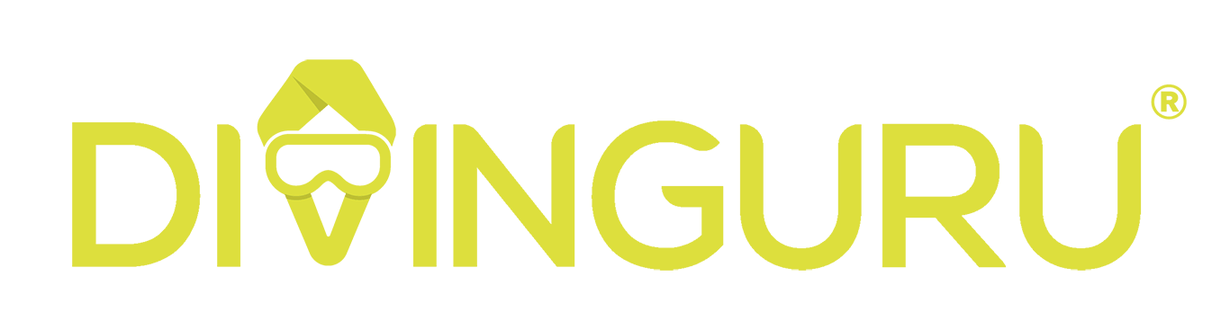 Logo - DivinGuru
