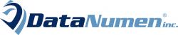 Logo - DataNumen, Inc.