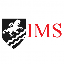 лого - International Management Services