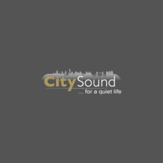 Logo - City Sound Secondary Glazing