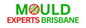 Logo - Mould Experts Brisbane