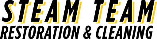 Logo - Steam Team